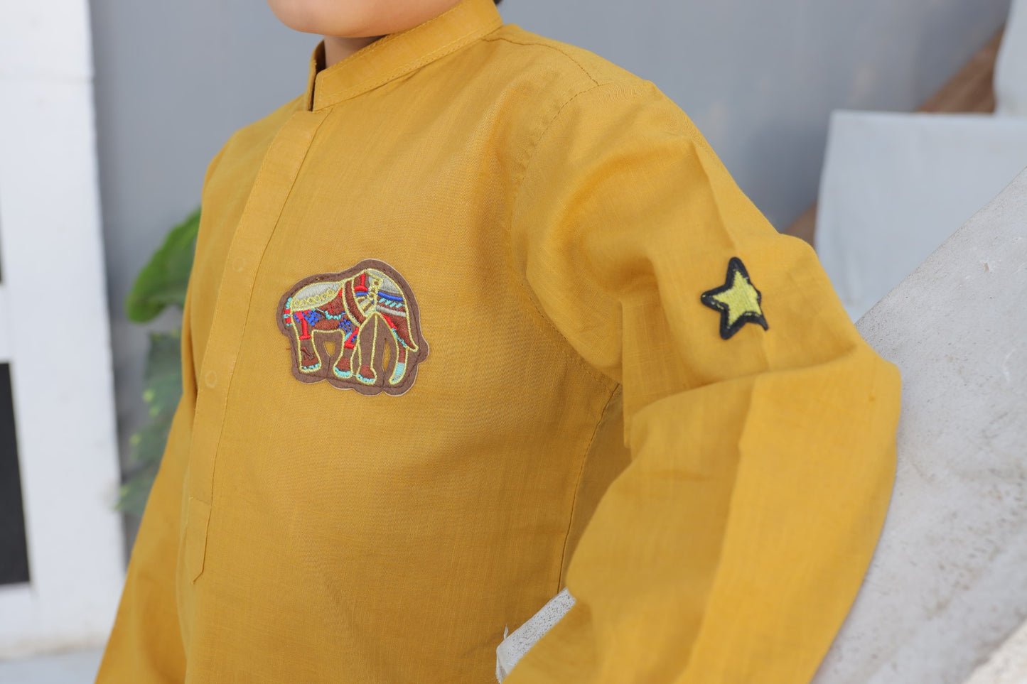 Mustard Custard Boys Suit