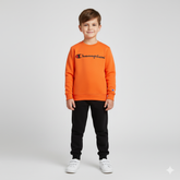 Champion Fleece Sweat Shirt - Maa Sadqay