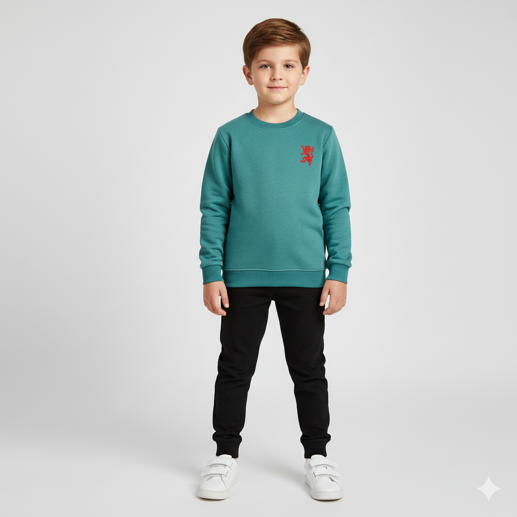 Plain Fleece Sweat Shirt - Zinc - Maa Sadqay