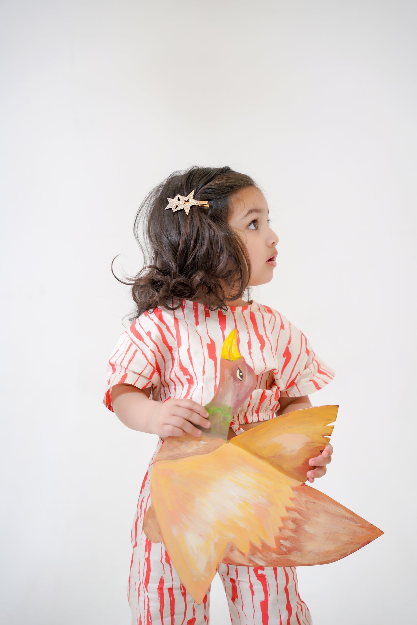 Paint Stripes -Crop-top with Bell Bottom- CT116 - Maa Sadqay