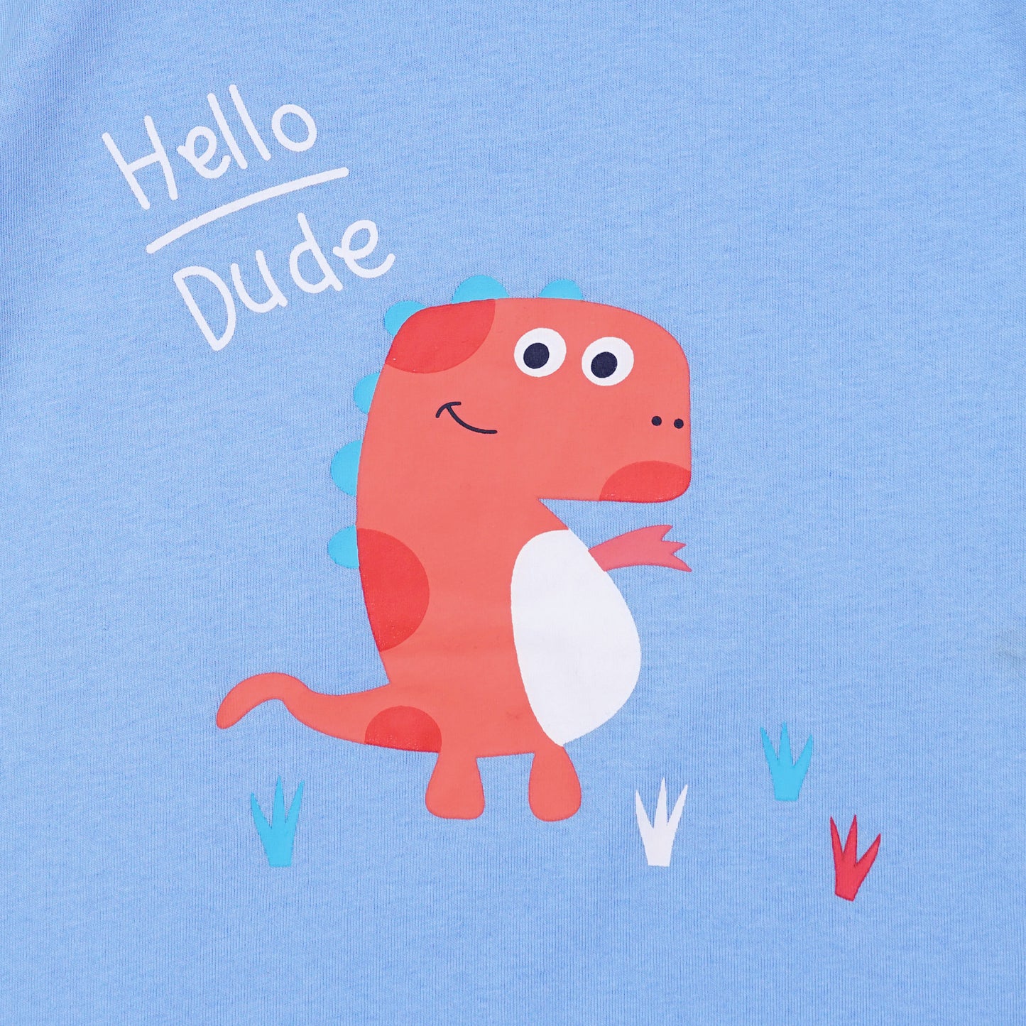 Kids Cotton T-Shirt & Shorts Set |Hello Dude -Blue -CS1110