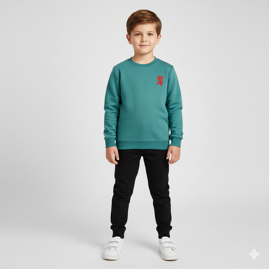 Plain Fleece Sweat Shirt - Zinc - Maa Sadqay